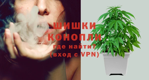 2c-b Богданович