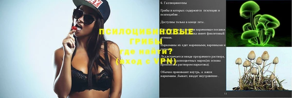 дживик Навашино