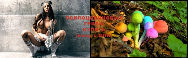 MDMA Premium VHQ Белокуриха