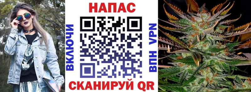мориарти наркотические препараты  Дорогобуж  Бошки марихуана Bruce Banner 